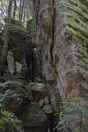 In the gorge - smaller format
