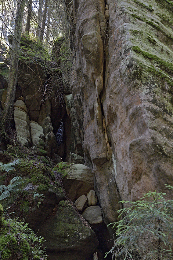 In the gorge - larger format