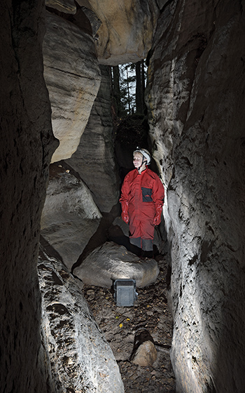In the "Root Cave" - smaller format