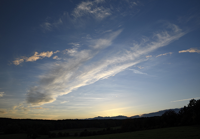 Evening at "Device" - smaller format