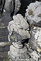 In rocks - main link
