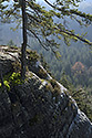 In rocks - main link