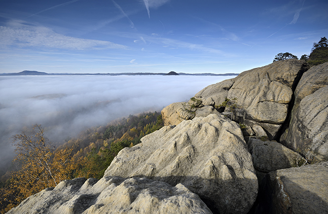 On rocks - smaller format