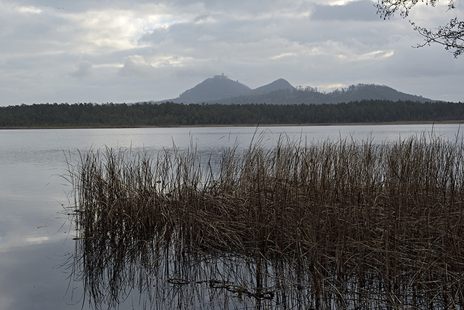"Behyn Pond" - smaller format