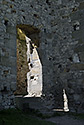 Entry - main link