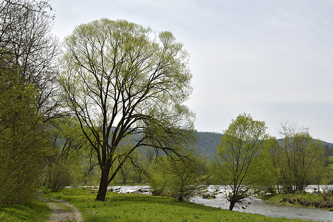 At "Berounka" river - smaller format