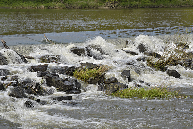 At "Berounka" river - smaller format