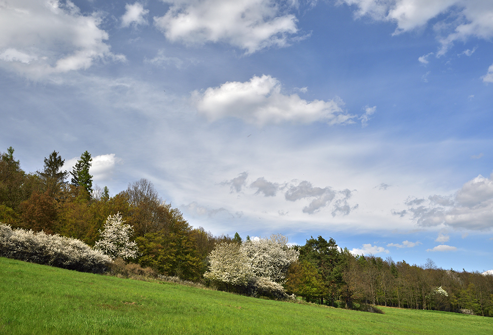 Near "Broumy" - larger format