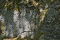 Engravings - main link