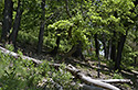 On slope edge - main link