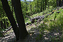On slope edge - main link
