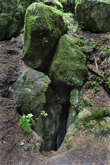Entrance - smaller format
