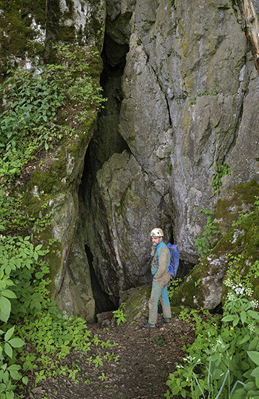 Entrance - smaller format
