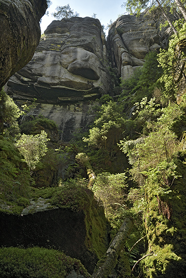 Over the gorge - smaller format