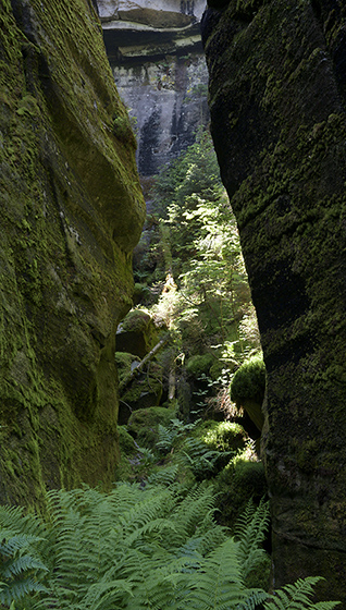 In the gorge - smaller format