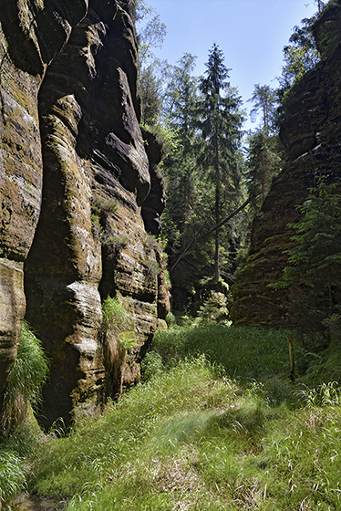 In the gorge - smaller format