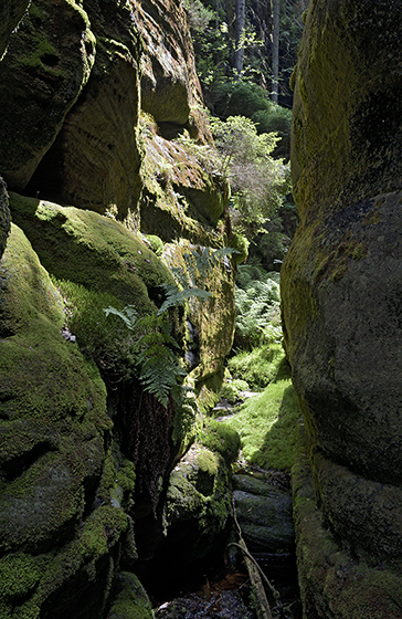 In the gorge - smaller format