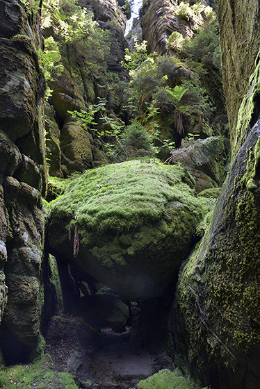 In the gorge - smaller format