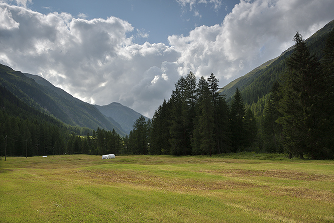 In Susauna - smaller format