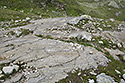 Glacial tracks - main link