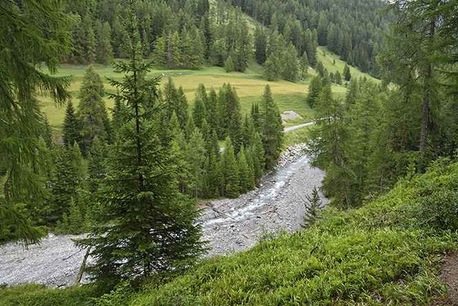 In the valley - smaller format