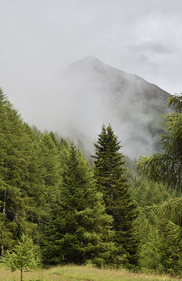 Rainy mountains - smaller format