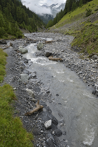 Watercourse - smaller format