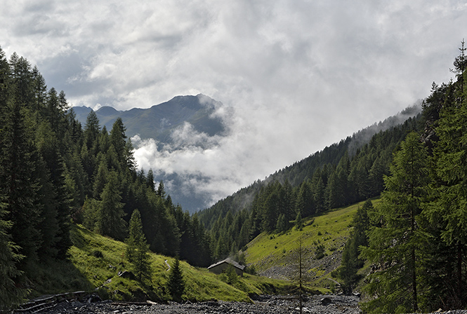 In the valley - smaller format