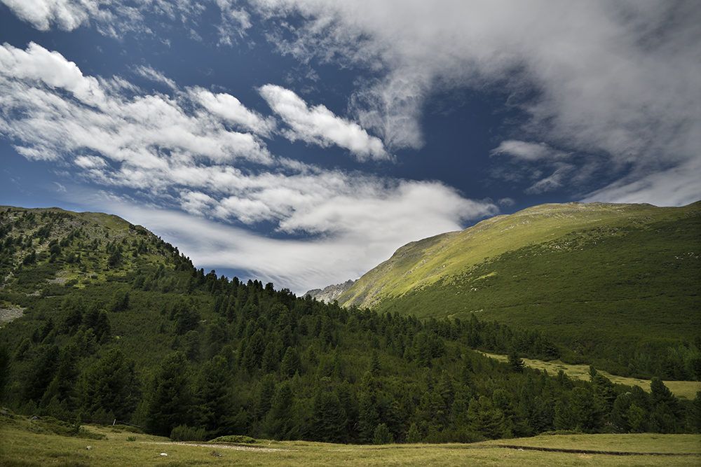 dol Chamuera - vt formt