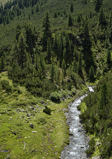 Rivulet - smaller format
