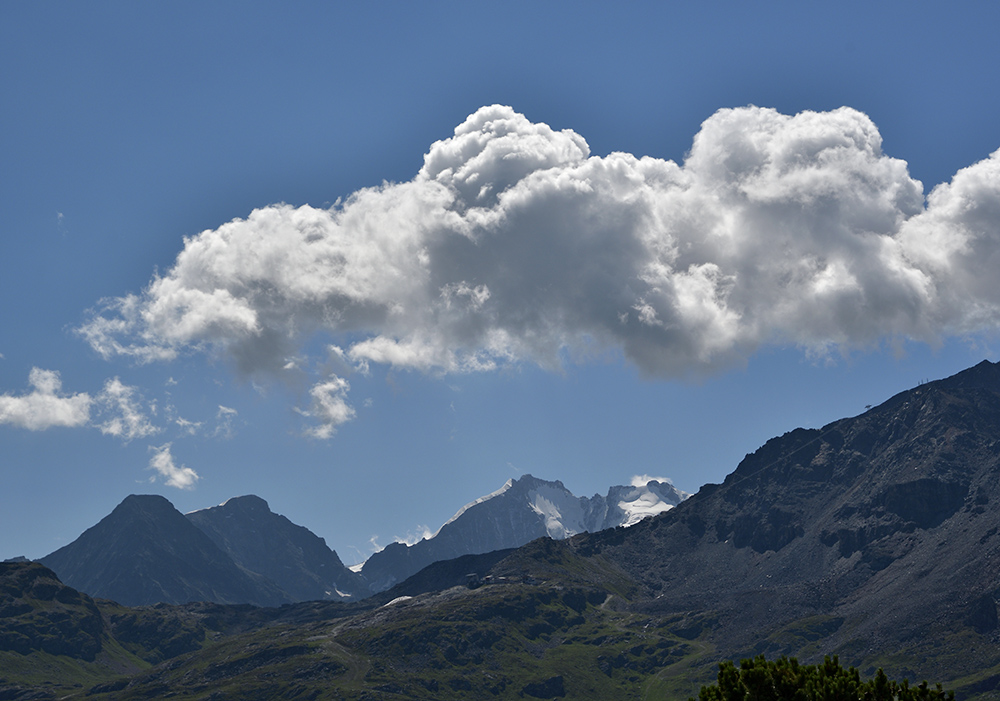 Piz Morteratsch a Bernina - vt formt