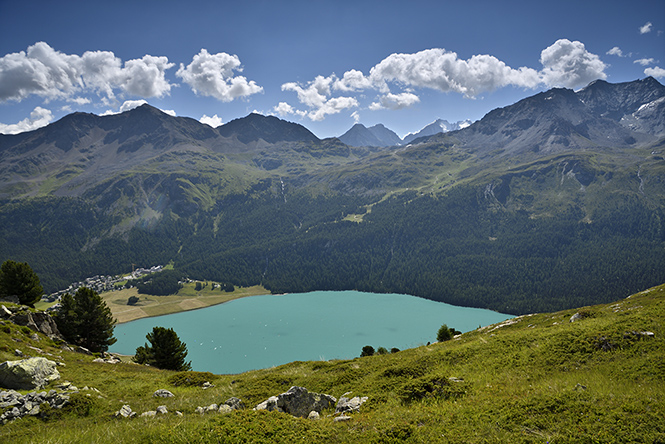 Jezero Silvaplauna - men formt