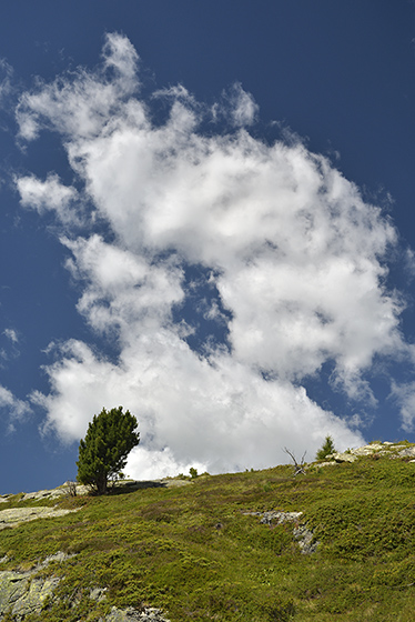 In mountains - smaller format