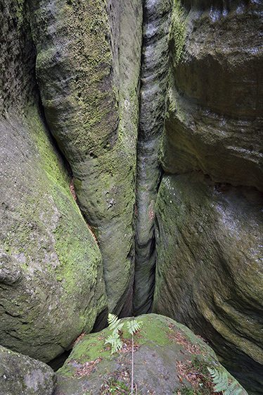 In the chasm - smaller format
