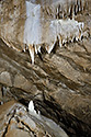 Decoration - main link