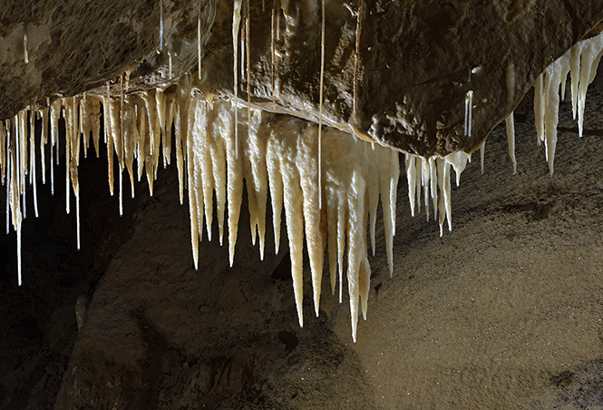 In the "Old Amateur Cave" - smaller format