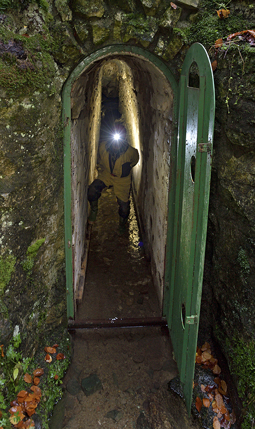 Entrance - larger format