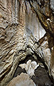 White chamber - main link