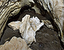 Fallen bird - main link