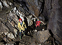 In the cave - main link