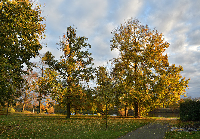 Park na ostrov - men formt