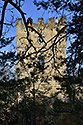 Castle - main link