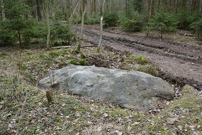 Budouc menhir - men formt