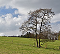 Nad Zdoovem - hlavn odkaz