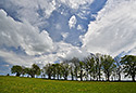 Near "Souvlastn" - main link
