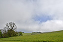 Morning fog - main link