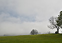 Morning fog - main link