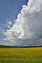 Clouds - main link
