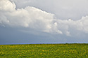 Space - main link