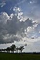 Clouds - main link